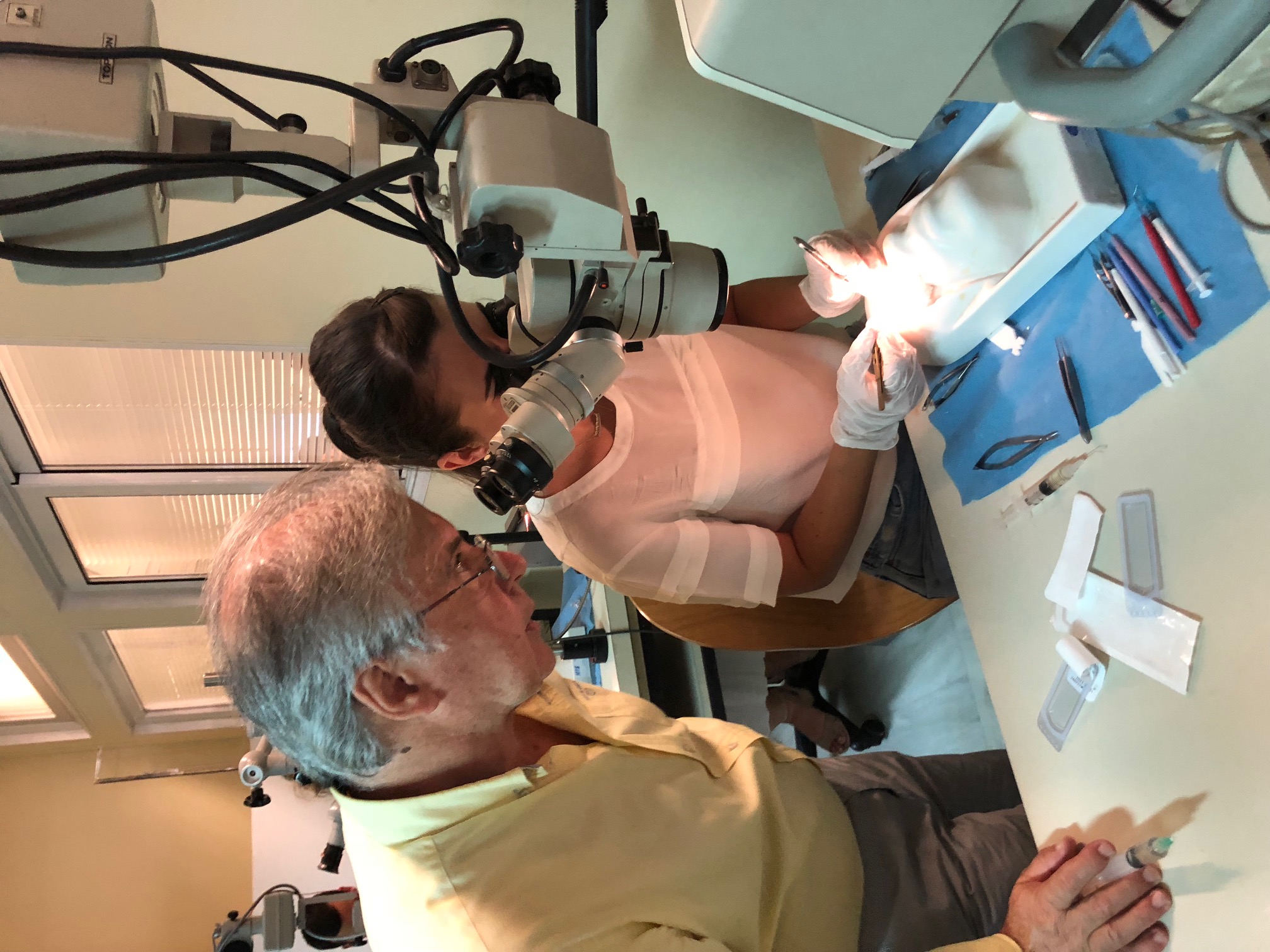 ο δρ. Καραμπατάκης βασίλειος κατα τη διάρκεια εκπαύδευσης μαθητευόμενου ο δρ. Καραμπατάκης βασίλειος κατα τη διάρκεια εκπαύδευσης μαθητευόμενου στα πειραματικά χειρουργεία