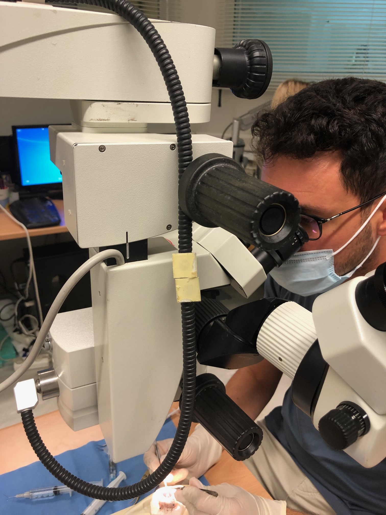 Εκπαιδευόμενος στα χειρουργεία του Καραμπατάκη βασίλη Εκπαιδευόμενος στο πειραματικά χειρουργεία του κυρίου Καραματάκη Βασίλη.